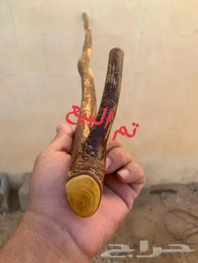 مشعاب كفو ( تم البيع ) 11