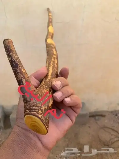 مشعاب كفو ( تم البيع ) 6