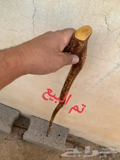 مشعاب كفو ( تم البيع ) 3