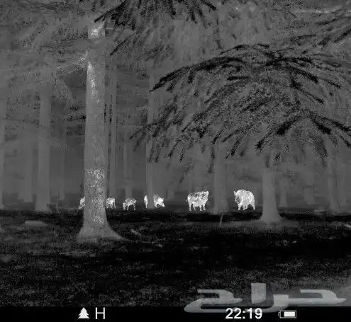 درابيل حراريه ليليه دربيل حراري ليلي وضوح عالي 4 كيلو بوضوح 18