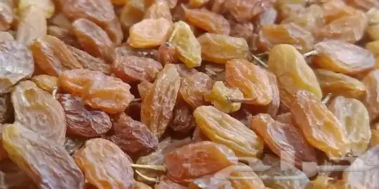 زبيب رزقي يمني للوز البلدي خولاني وصل الجديد 0