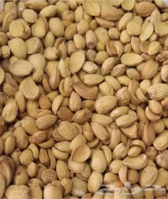 زبيب رزقي يمني للوز البلدي خولاني وصل الجديد 1