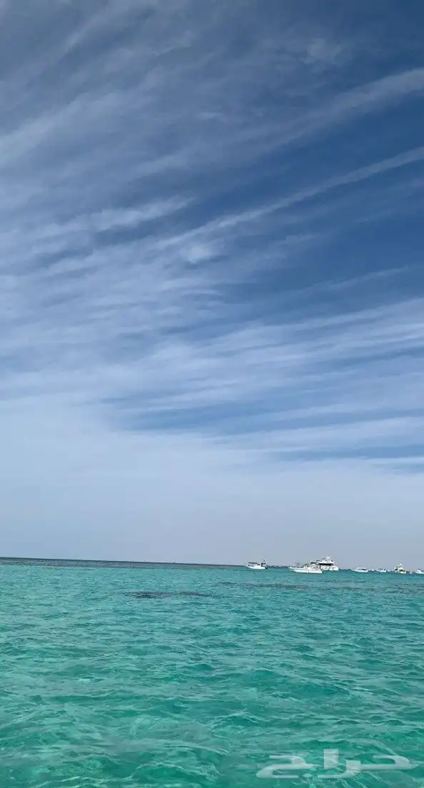 رحلات بياضه 11