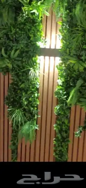 عشب ارضى عشب جدارى 9