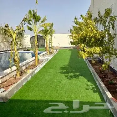 عشب ارضى عشب جدارى 5