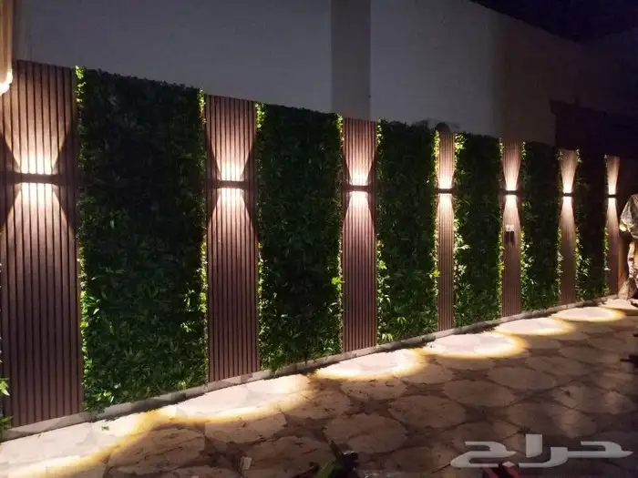 عشب ارضى عشب جدارى 6