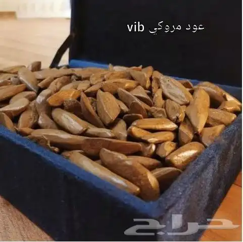 كسرعود مروكي محسن فاخر VIP 0