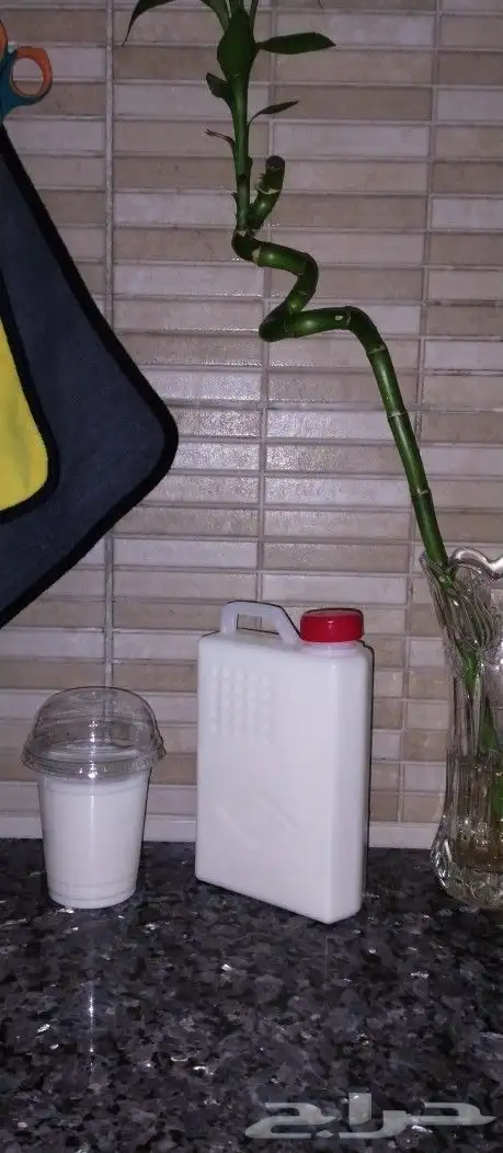 فطر هندي كفير 6