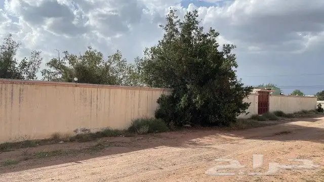 موقع استثماري للايجار طويل الأجل قريب إسكان الحرس الوطني 3