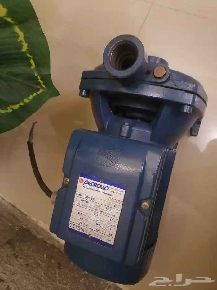 دينموا.بودرلا إيطالي. 1 5.حصان. 1