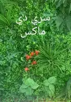 تكسيات بديل خشب داخلي وخارجي وعشب صناعي 3