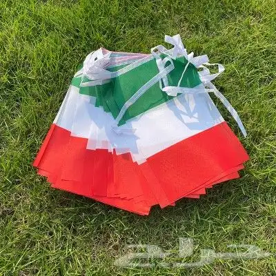 اعلام واكسسوارات اوروبية لبطولة يورو 2024 منوعة 7