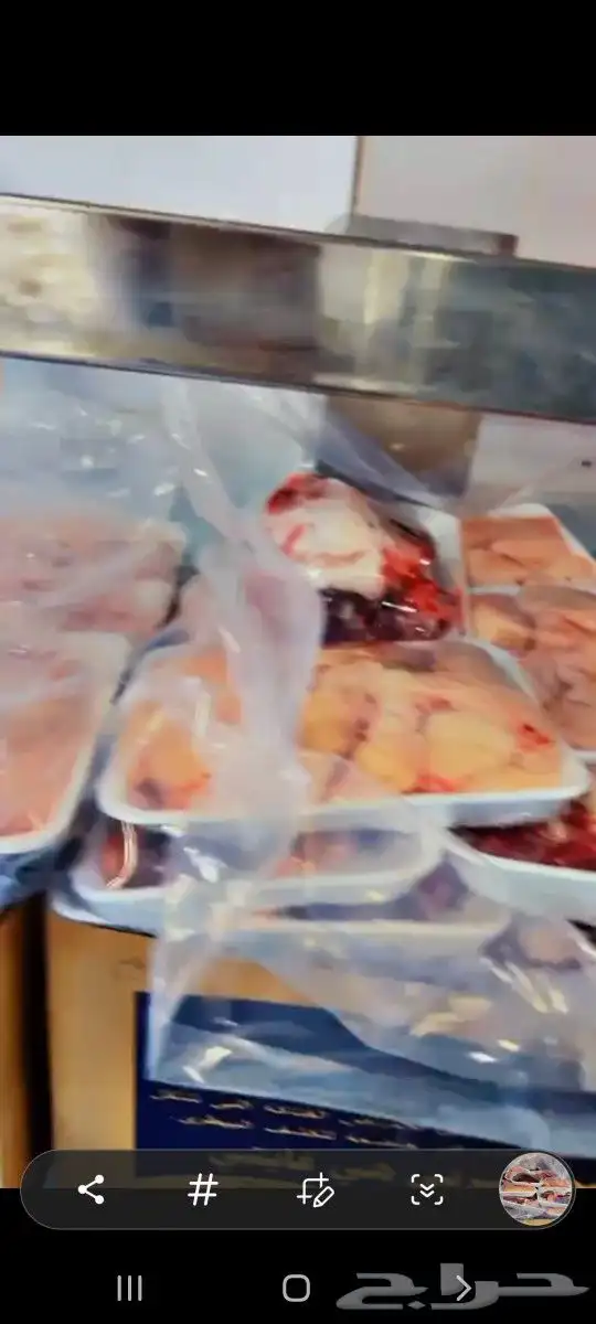 ذبايح ابو عبدلله 7