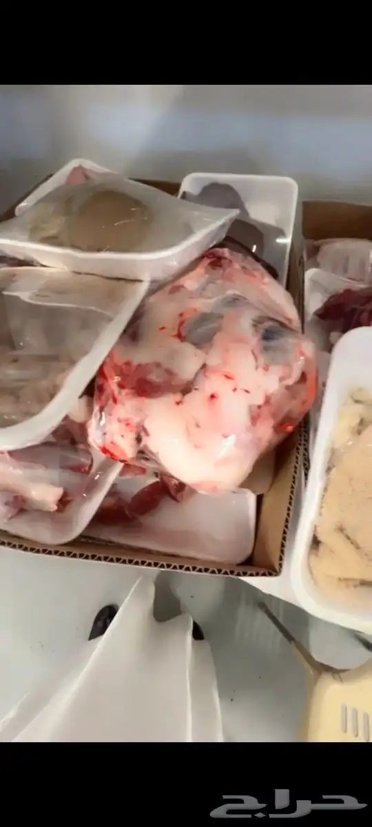 ذبايح ابو عبدلله 8