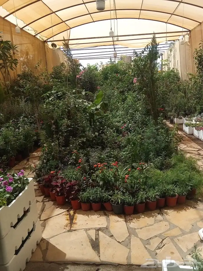 تنسيق حدايق 2