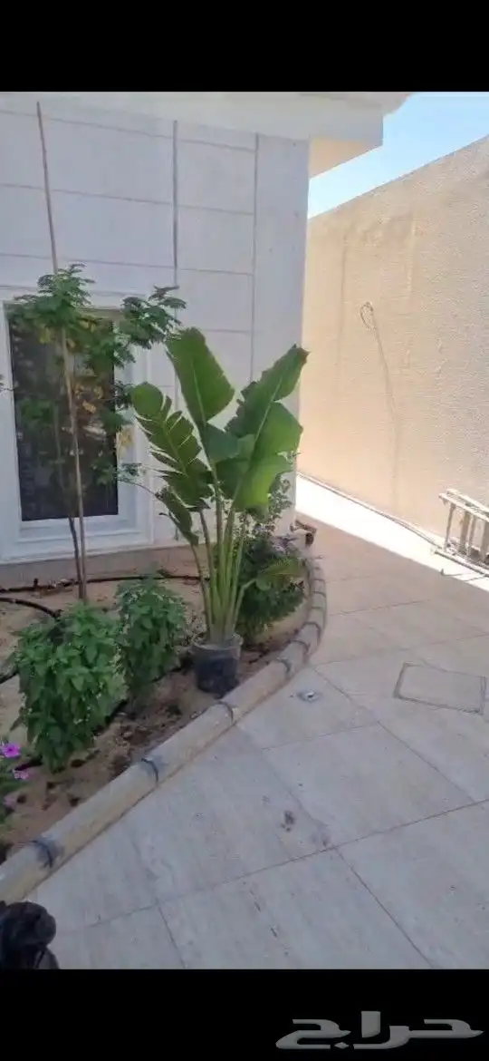 تنسيق_حدائق  مزارع  مشتل 9