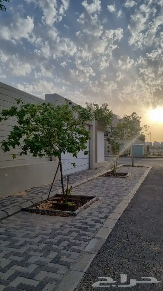 تنسيق_حدائق  مزارع  مشتل 3