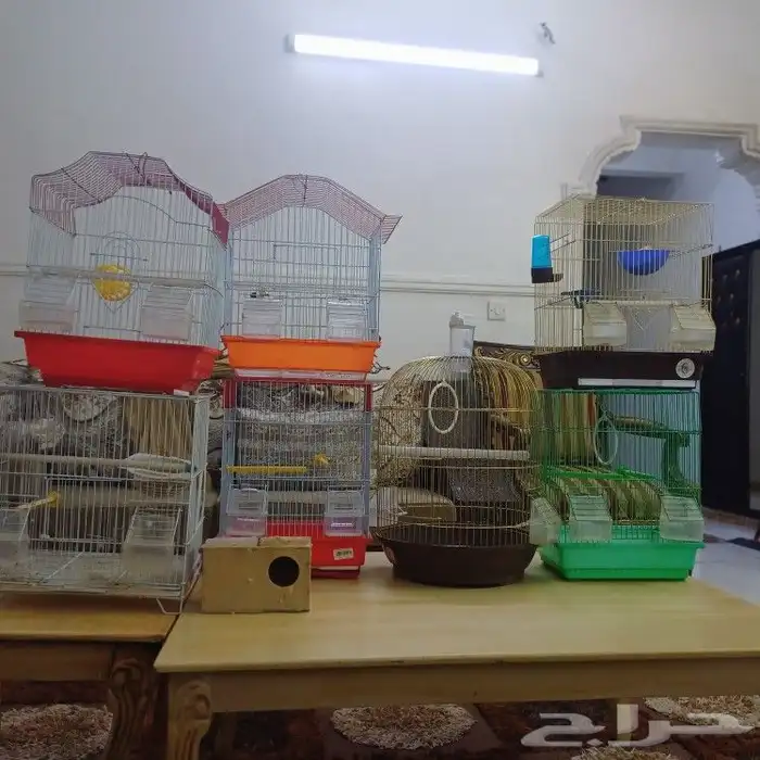 اقفاص طيور 0