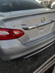 نسيان التيما نسيان مكسيما 2000الي 2018 4