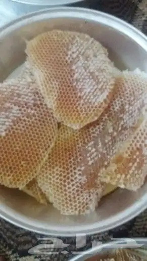عسل سدر عسل طلح عسل سمرة عسل شوكة مضمون على الشرط 7