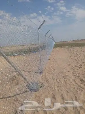 مقول شبوك ونخيل 4