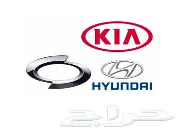 فحص وبرمجة وصيانة سيارات هيونداي وكيا وسانج يونج 0