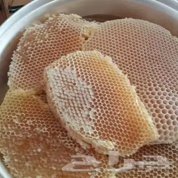 عسل سدر عسل طلح عسل سمرة عسل شوكة مضمون على الشرط 9
