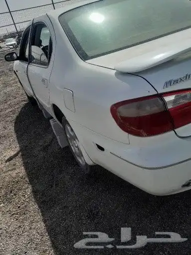 نسيان التيما نسيان مكسيما 2000الي 2018 6