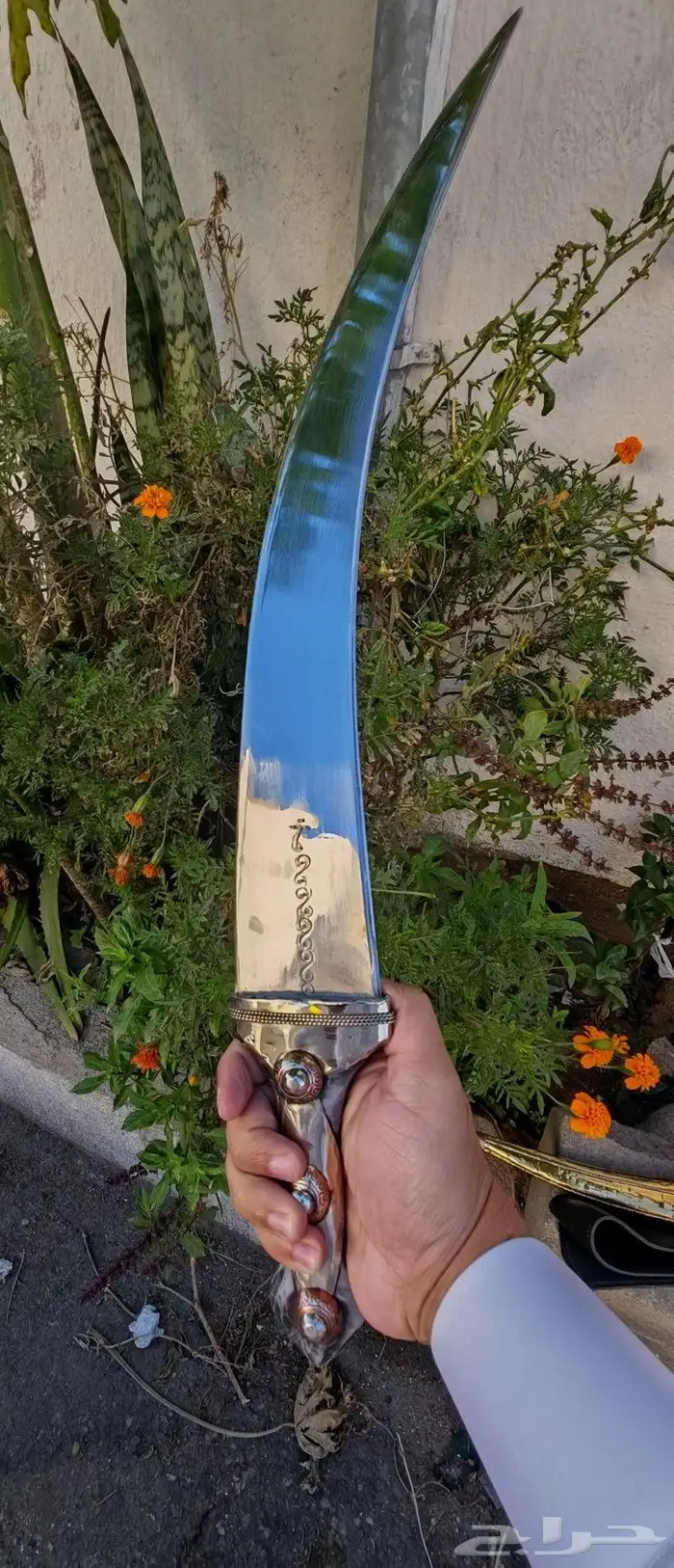 جنبيه ذريع نافعي 1