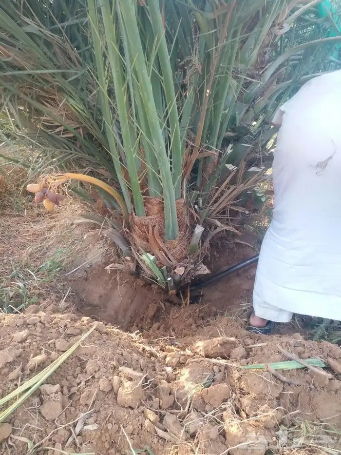 يوجد لدينا فسائل مجدول 0