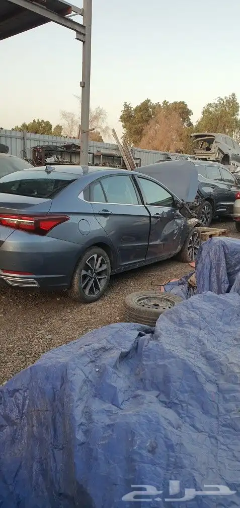 شيري اريزو6 2023 1