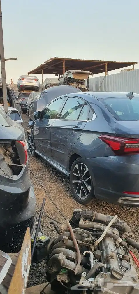 شيري اريزو6 2023 2
