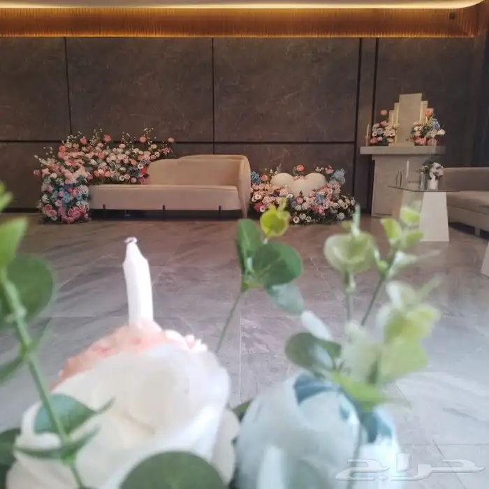 استقبالات كوش  ارياض 2