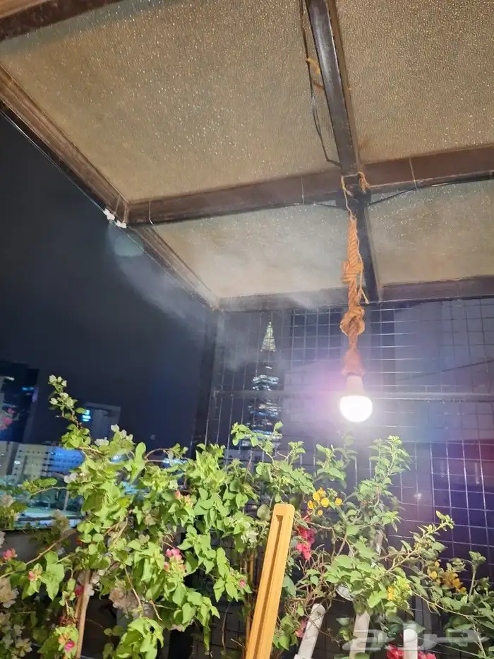 رذاذ وضباب المحور الصافي 9