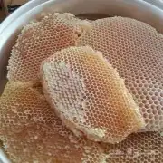عسل سدر عسل سمرة عسل طلح عسل فاخر 0