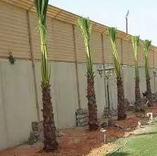 مقاول شبوك المزارع والملاعب وطرقات والاستراحات ولمواقع مزارع 5