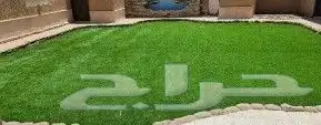 عشب جدارى عشب ارضى بسعر الجملة 1