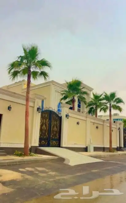 واشنطني نخل زينه ابومروحه درجه اولا نحيف 13