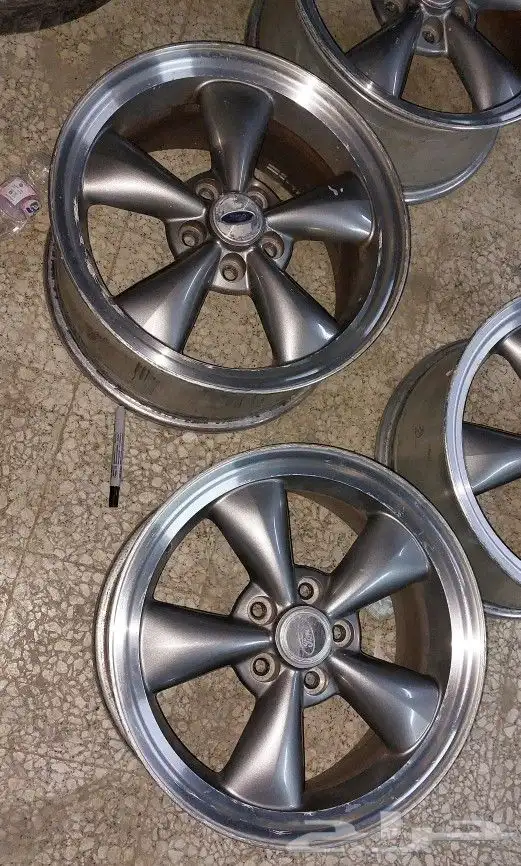 يوجد جنوط موستنج 0