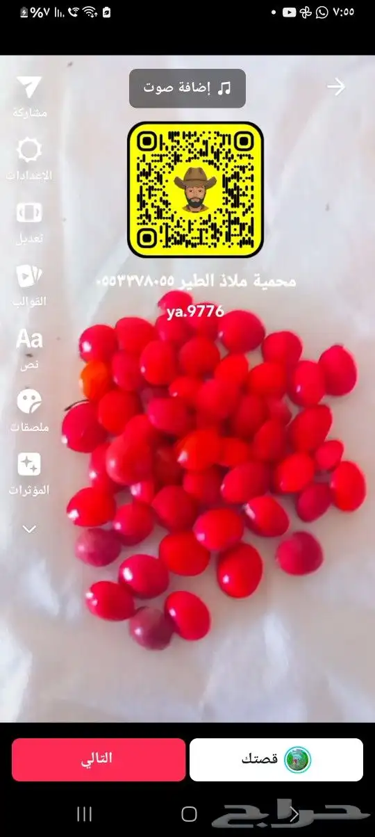 بذور زراعيه عرعر وسرو واخرى استنبات وعقل 7