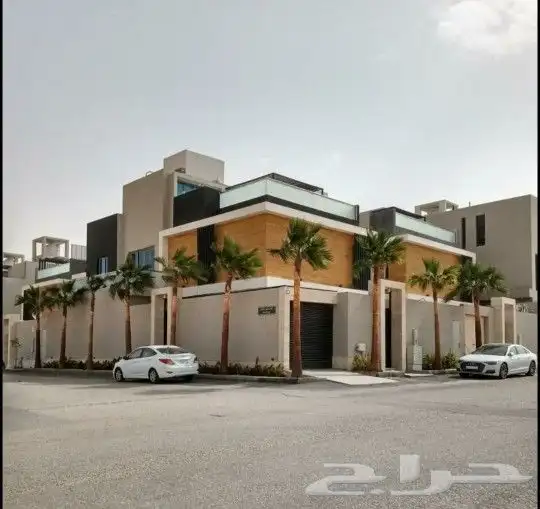 واشنطني نخل زينه ابومروحه درجه اولا نحيف 12