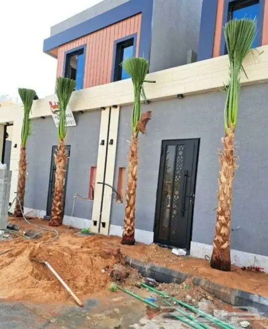 واشنطني نخل زينه ابومروحه درجه اولا نحيف 10