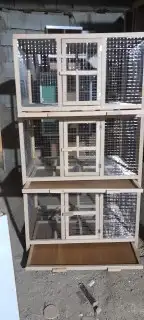 قفص محاكر 14