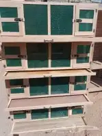 قفص محاكر 7