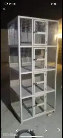 قفص محاكر 23