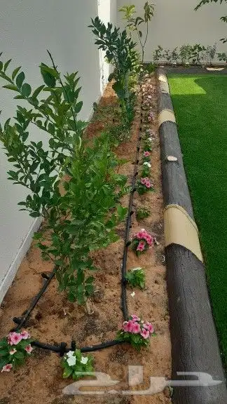 تنسيق حدائق الجبيل الدمام الخبر 14