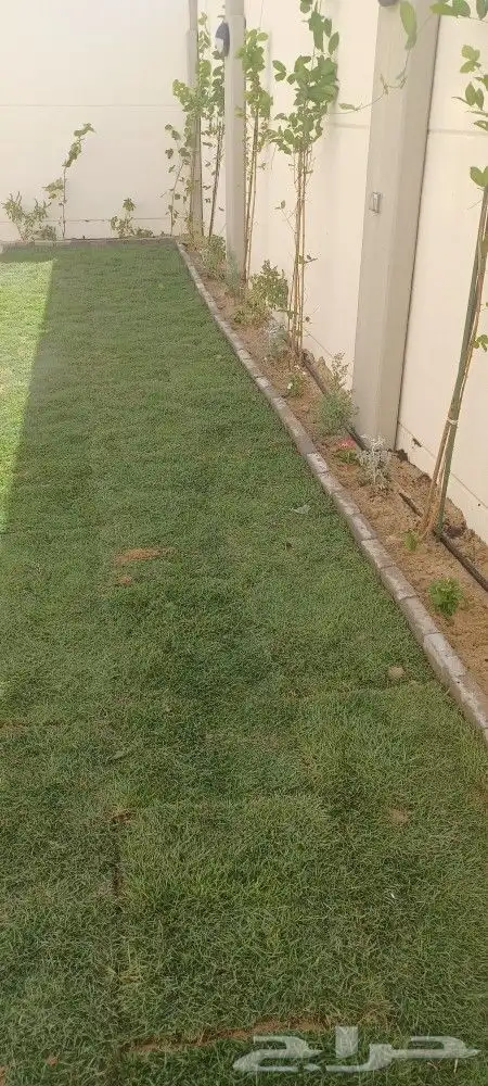 تنسيق حدائق الجبيل الدمام الخبر 1