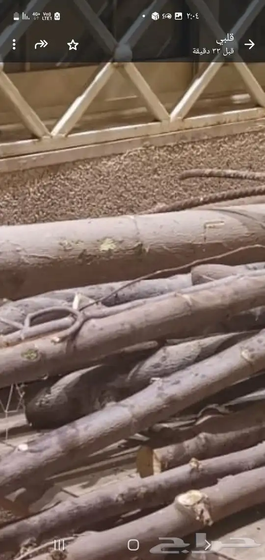 غرف اجار لطالبات 0