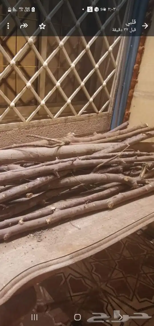 غرف اجار لطالبات 3