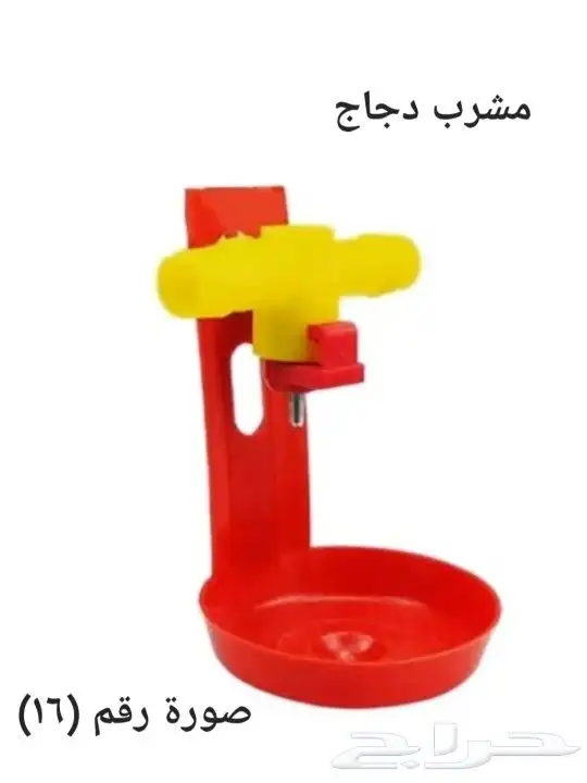 مشرب وسقايات لدجاج والحمام وطيور الزينه فيشر روز كناري بادجي 15